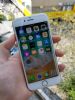 出售二手苹果iPhone8 金色 64G 国行 iPhone8