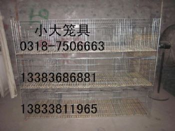 销售鸽子笼 兔子笼 鹌鹑笼 宠物笼 运输笼 鹧鸪笼 育雏鸡笼 鸡笼 鸽笼 兔笼 鸟笼 狗笼