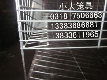 供母兔笼 肉兔笼 蛋鸽笼 肉鸽笼 鹌鹑笼 鹧鸪笼 鸡笼 鸟笼 养鸡设备 养兔设备 养鸽设备 鸡鸽兔笼