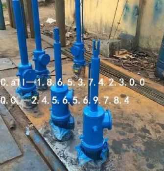 井下防爆电液推杆直式DYTZ2吨推力型防爆电机