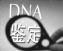 哈尔滨怀孕亲子鉴定可以怎么做，请问怀孕是否可以做亲子鉴定0451-53650081