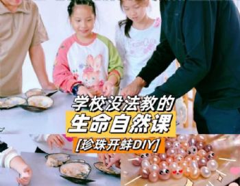 苏州三六六社会实践户外拓展探索自然生命蚌壳中的奥秘体验活动