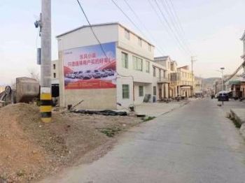 广西崇左金虎家私刷墙广告服务 值得细细品味