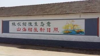江苏苏州肥料墙体广告 夜店墙体彩画