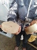 高密度全自动木屑压块机Y郑州鑫源厂家定制
