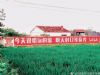 甘肃定西新农村文化广场彩绘凸显乡村新面貌 金昌河西堡墙体广告