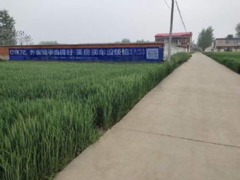 甘肃酒泉刷墙广告助理销售更上一层楼 庆阳正宁新农村墙体彩绘