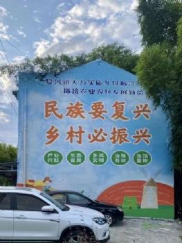 扬州外墙喷绘布,视觉直观,墙体风景彩绘,好夺目好炫彩