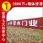 福建三明喷绘广告制作,保健食品墙体喷绘手绘广告服务遍布