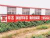 陕西延安振兴乡村绘画色彩绚丽乡镇 韩城农村户外刷字广告