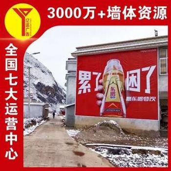 天水壁墙广告简单直接,手绘壁画画工精湛