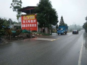 广东河源墙体喷绘广告主营农村,墙体绘画户外喷绘广告