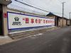 陕西宝鸡美丽乡村墙绘 临渭刷墙广告户外巨幕