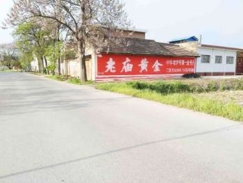 肇庆电解质水墙体喷绘广告墙体喷绘广告安装,成本低廉