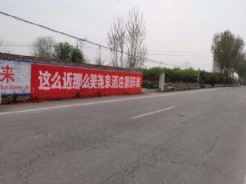 广东阳江乡村振兴墙绘带火一个乡镇 恩平刷墙广告