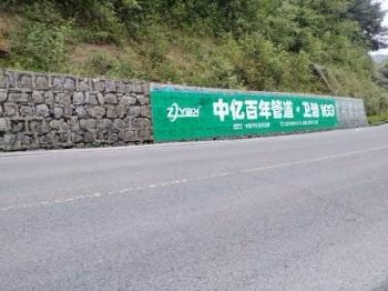 广东肇庆刷墙广告角逐市场 高州新农村农耕彩绘