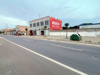 广东写墙体广告 清远喷绘墙体广告 廉江乡村振兴彩绘