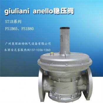 意大利giuliani anello贵龙st1b100自力式减压阀fs1b80带过滤功能减压阀st1b80煤气减压阀