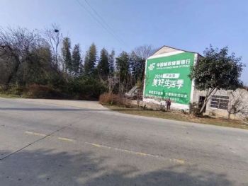 宿迁食品乡镇墙壁广告手绘墙体广告 利用传播表达卖点