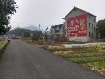 三明商务服务墙体广告,房地产喷绘墙面广告,乡村文化墙彩绘