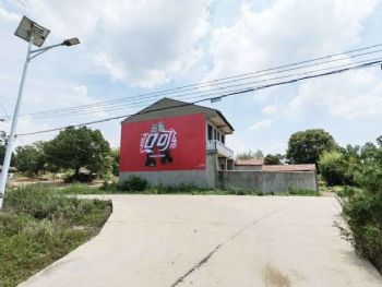 苏州医院墙体广告,化妆品户外写字广告,石墩彩绘