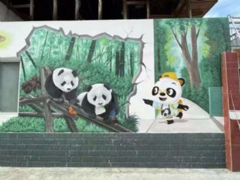 常德新农村手绘画为美丽乡村“代言”岳麓喷绘墙体广告