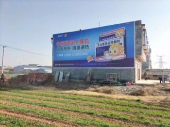 甘肃天水刷墙广告全国运作 临夏康乐乡村振兴彩绘