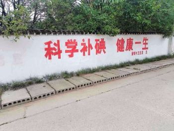 陕西榆林喷绘墙体广告 宜君墙体宣传广告千余块齐亮相