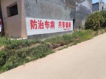 广东韶关墙体喷绘广告深入传达 清城振兴乡村绘画