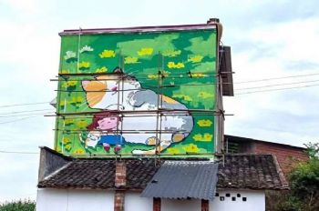 漯河挂画广告,南阳乡村振兴墙画手绘,驻马店化肥墙体广告