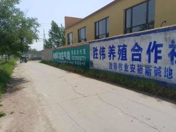 广东佛山墙体广告喷绘 新会刷墙广告新农村农耕彩绘