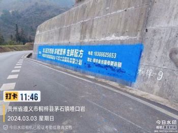 湖南益阳手绘墙绘广告长沙周边 墙体广告新农村墙体彩绘