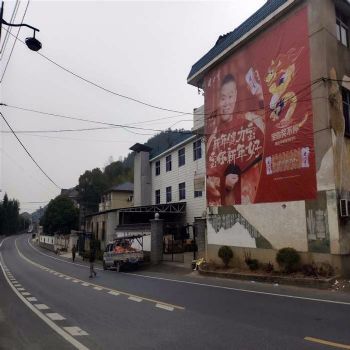 黄冈墙体广告,巢湖外墙广告牌,洛阳户外墙体广告