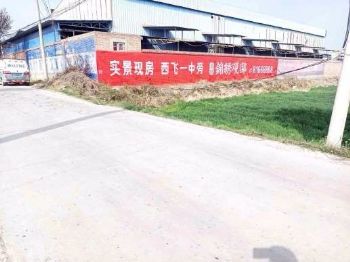 浙江湖州赛菲尔珠宝墙体喷绘广告宣传 老司机刷墙带你双击666