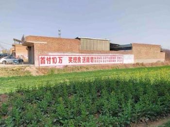青海西宁电信墙体广告 科技馆外墙彩绘