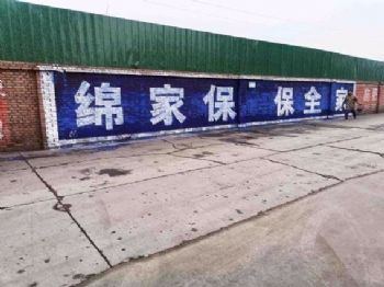 巢湖保险刷墙广告 动物园墙体绘画