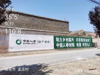 江西鹰潭手绘墙画 展览馆墙面绘画