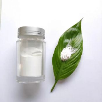 九朋橡胶补强耐磨专用30nm二氧化硅CY-SR01