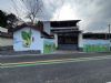 莆田墙体绘画 网红墙绘街道 幼儿园彩绘墙丰富饱满