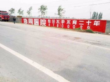 秦皇岛电动车墙体广告 墙之魅力 品牌的吸引力