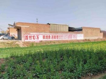 邯郸建材墙体广告 点亮未来 与你同行