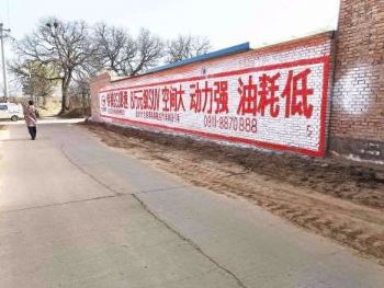 张家口培训学校墙体广告 墙力展现 品牌之光