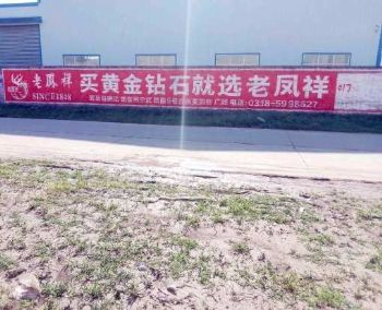 温州集装箱墙面彩绘 保险刷墙广告