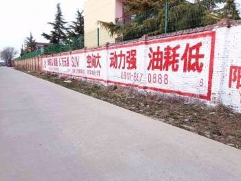 丽水医院文化墙墙体绘画 电商刷墙广告
