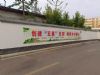 安庆建材刷墙广告 不断创新与突破
