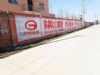 河池天峨保险墙体广告 九芝堂墙体广告