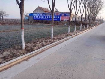 怀化金融刷墙广告 墙显神韵 品牌深入人心