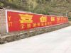 益阳保险刷墙广告 墙的魅力 无法抵挡
