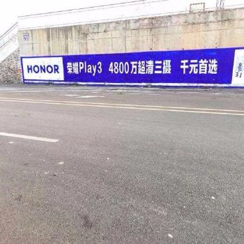 四川宝兴县美丽乡村墙绘 泸州电信户外墙体广告
