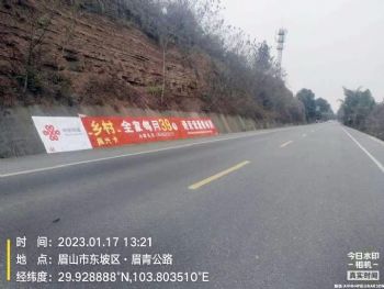 江西墙体广告 九江墙面写字广告 龙南市院墙涂鸦